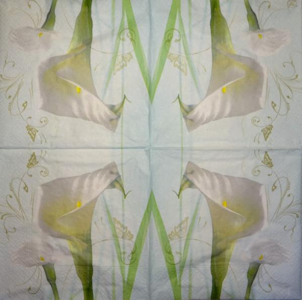 035 Calla - 3-ply